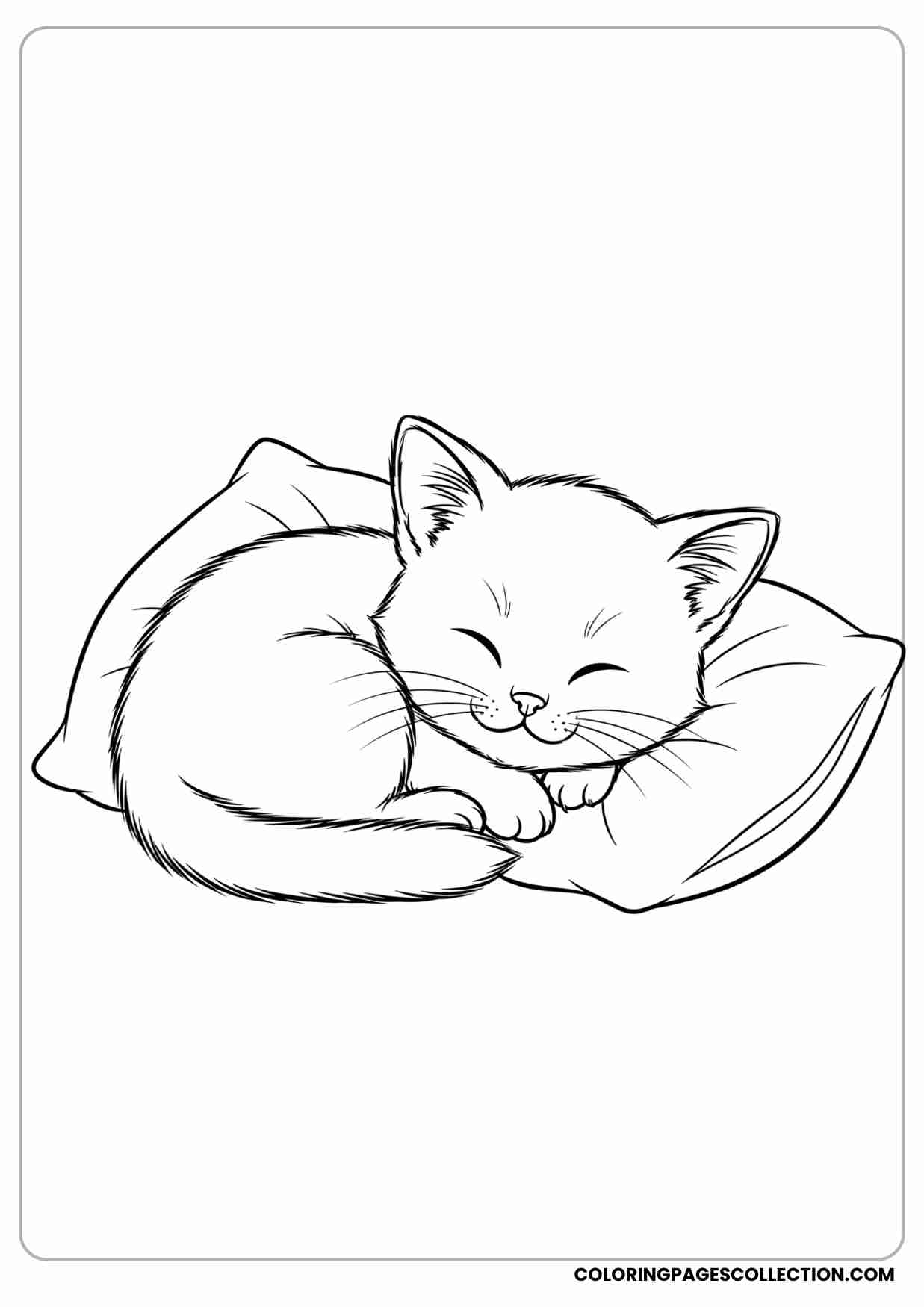 Cute kitten with big head and small body curled in a ball, sleeping with eyes closed.