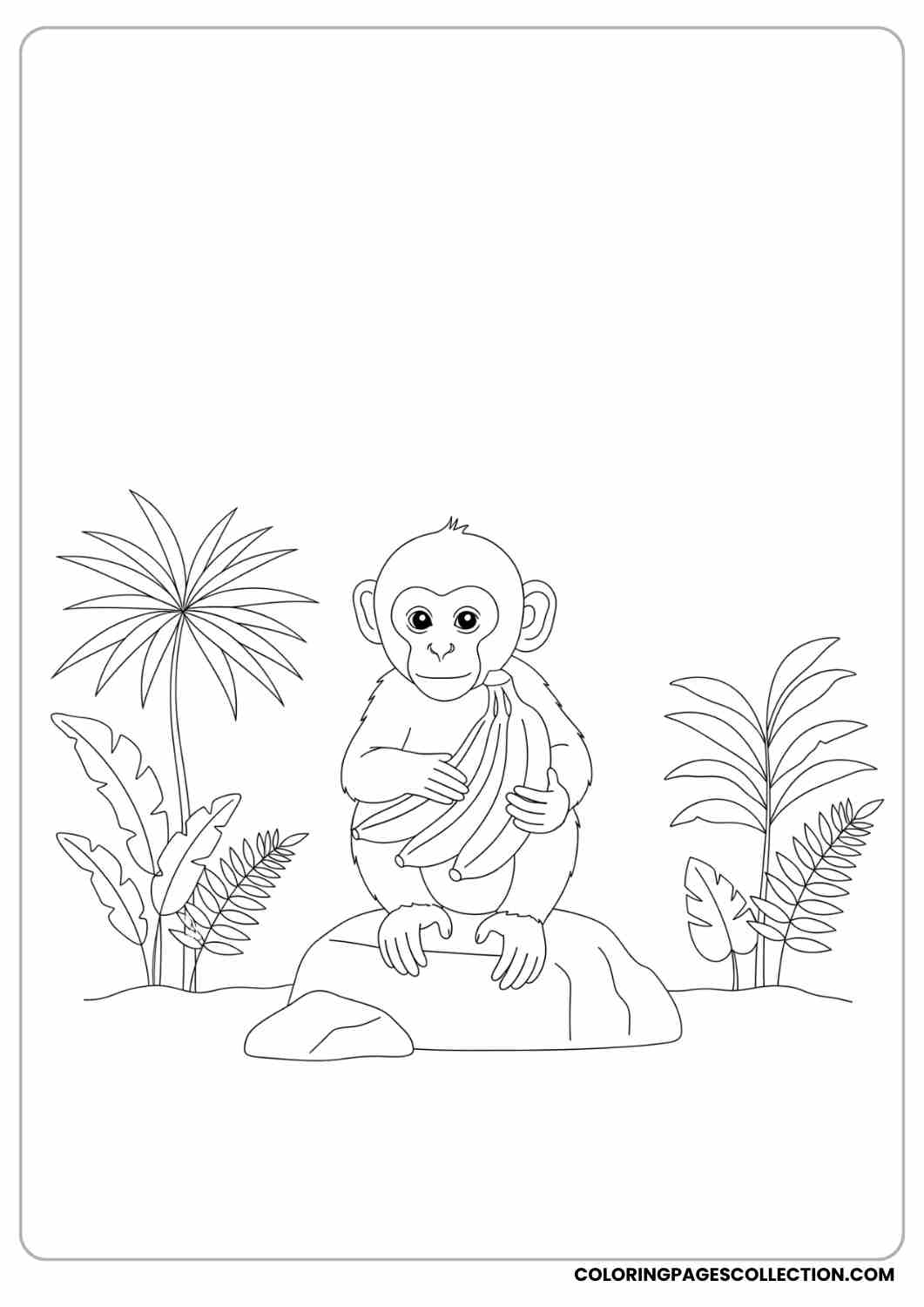 Baby monkey holding a banana bunch, sitting on a rock, simple jungle background with a few plants.