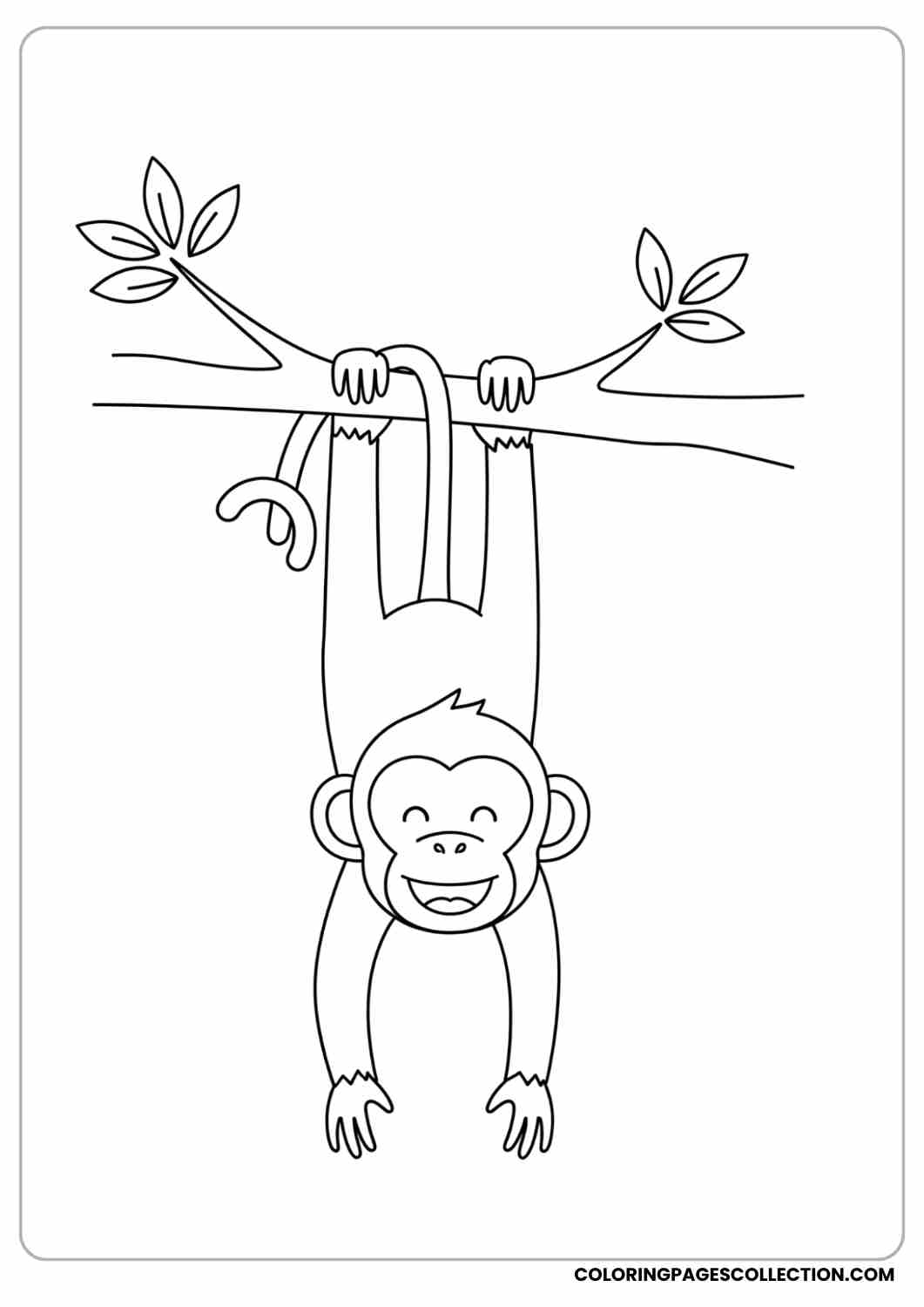 Happy monkey hanging upside down from a branch, tail curled, a few leaves above.