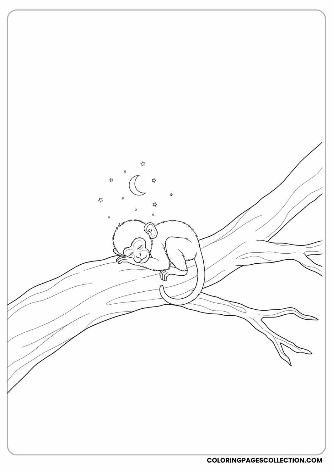 Baby monkey sleeping on a large tree branch, tiny moon and stars above.
