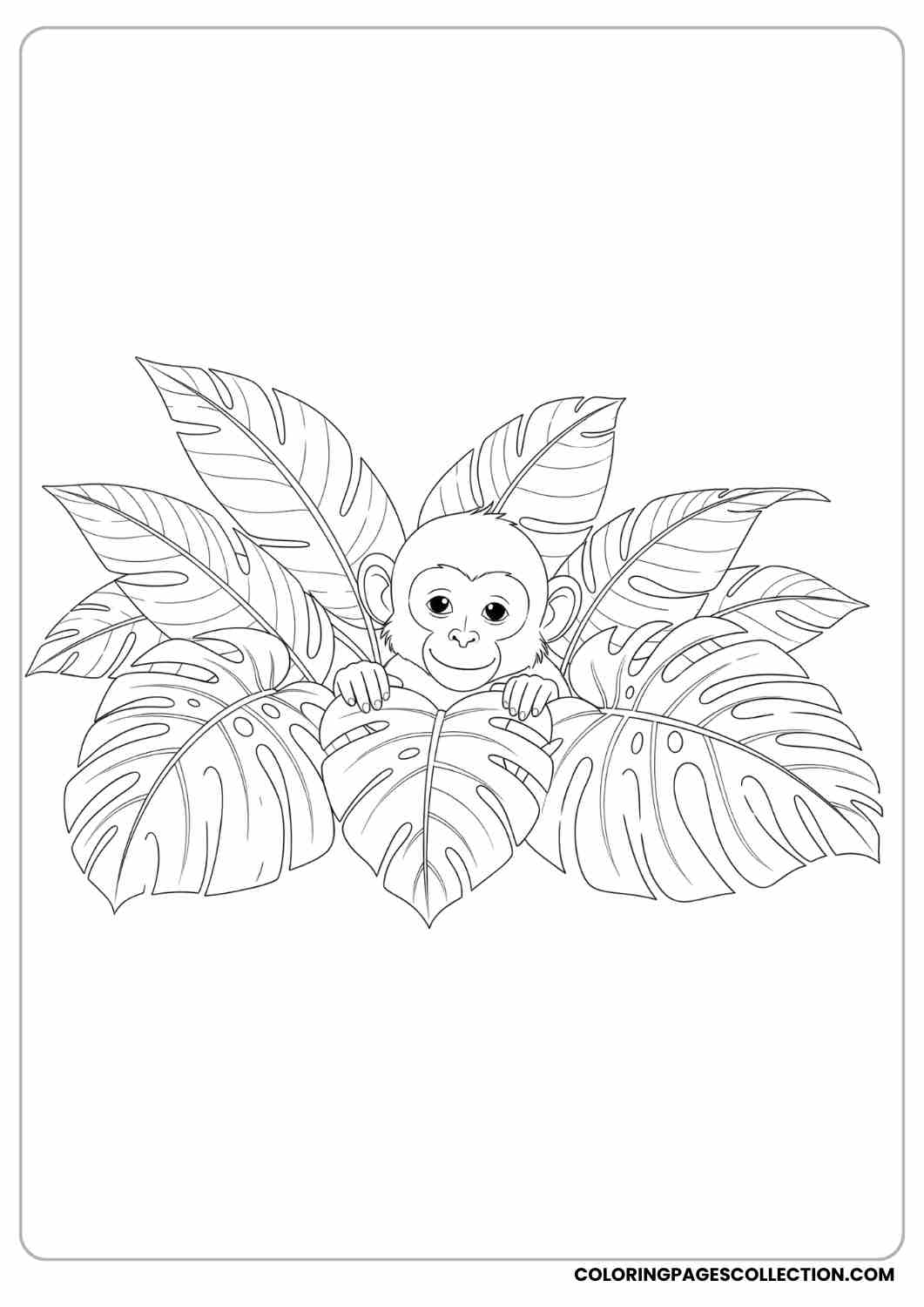 Monkey peeking through big jungle leaves, shy smile.