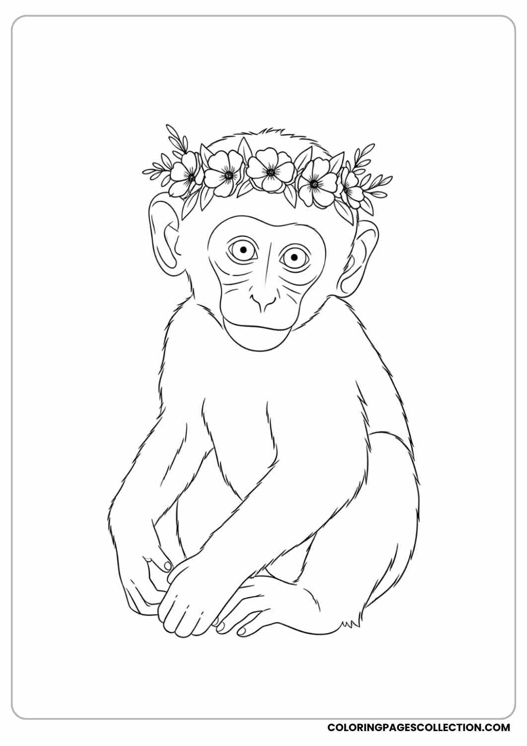 Baby monkey wearing a flower crown, sitting with legs tucked.