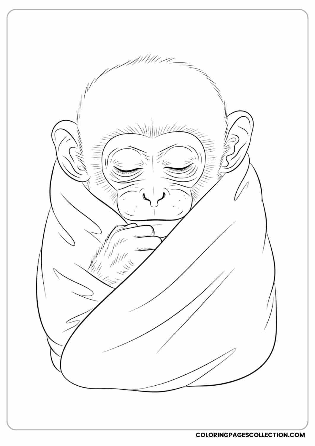Baby monkey wrapped in a big leaf like a blanket, sleepy eyes.