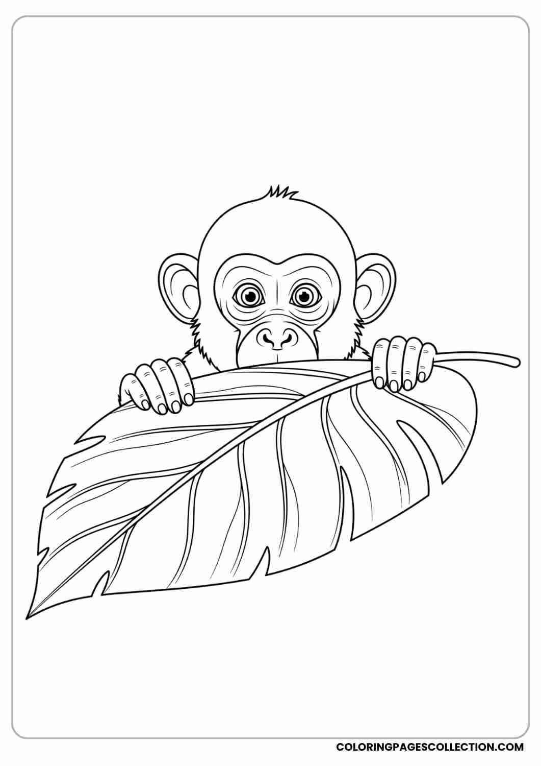 Monkey peeking from behind a big jungle leaf, only face and hands visible.