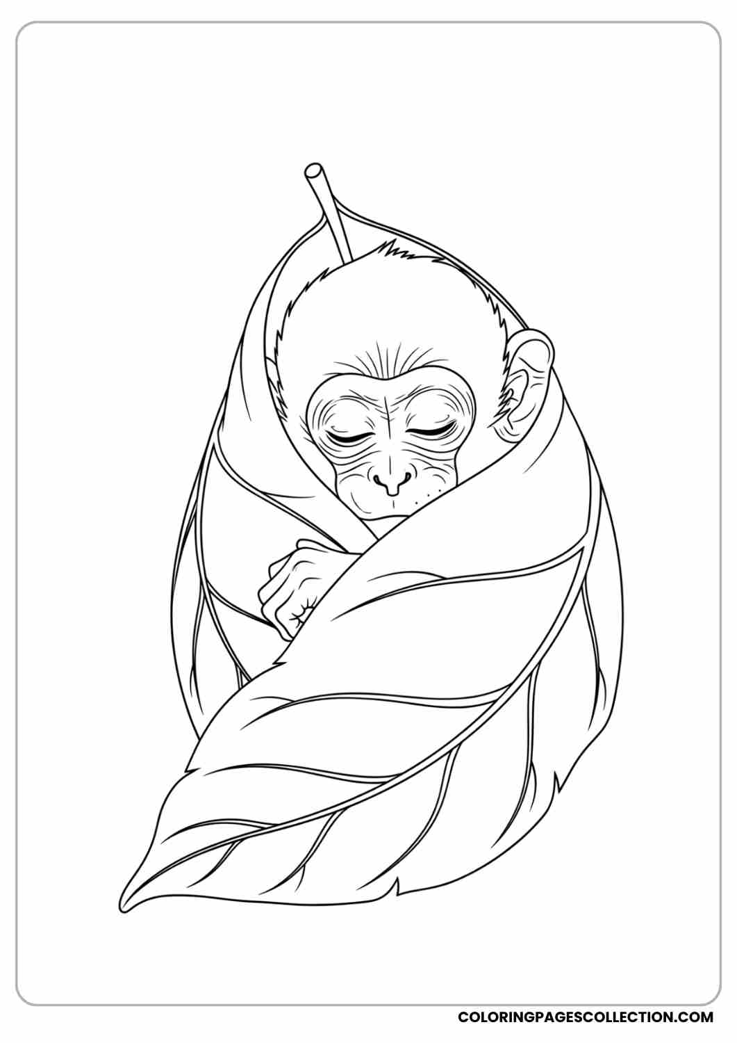 Baby monkey wrapped in a large leaf like a blanket, sleepy eyes.