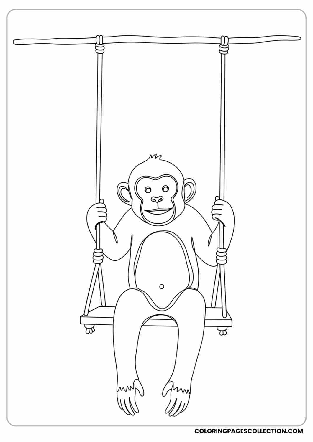 Playful monkey sitting on a swing, legs dangling, small smile.