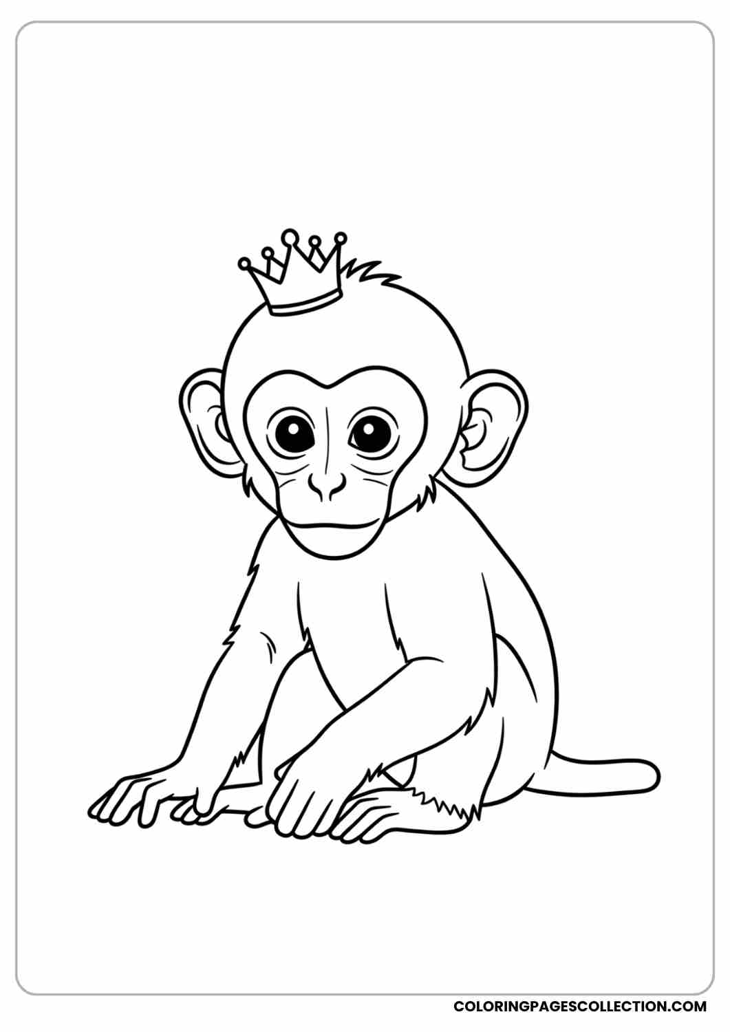Baby monkey with a tiny crown, sitting on the ground.