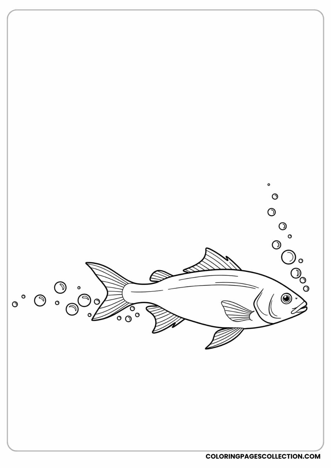 fish swimming with bubble trail coloring page