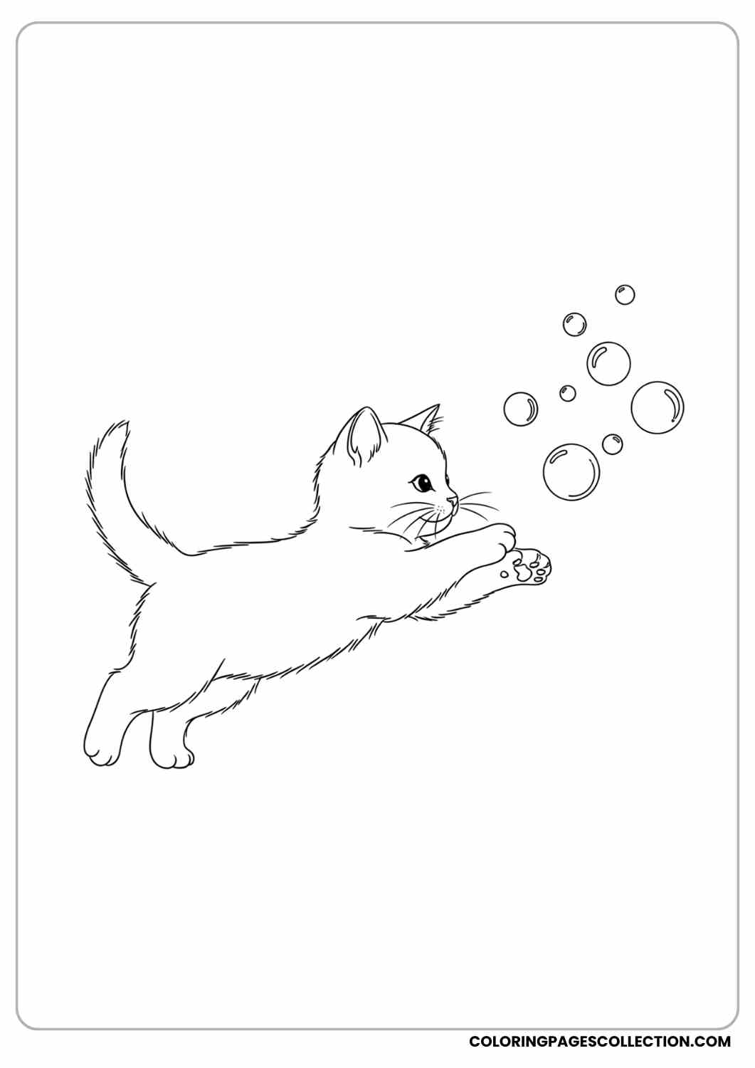 kitten chasing playful bubbles coloring page