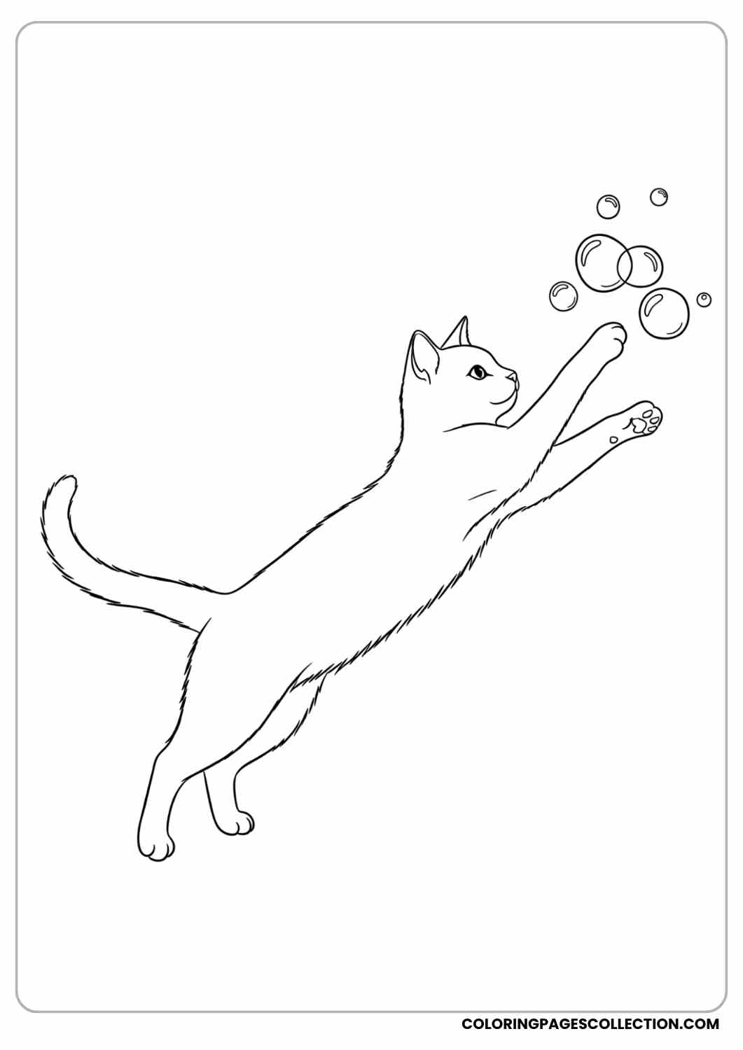 cat playing with floating bubbles coloring page