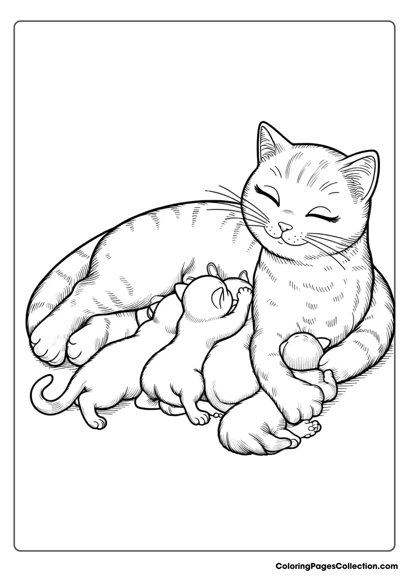 A Mother Cat Is Nursing Her Kittens