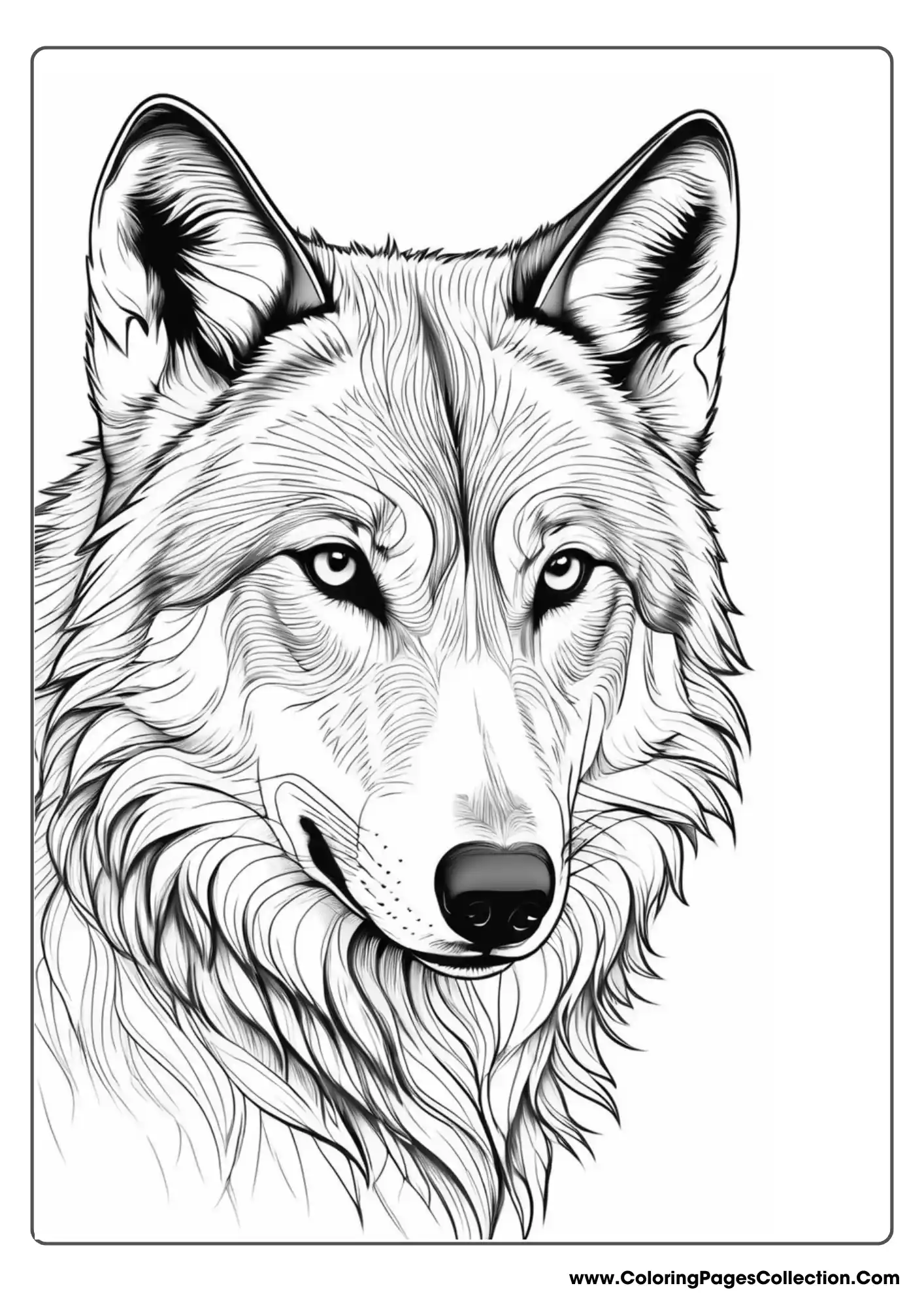 wolf coloring pages, Detalied Wolf