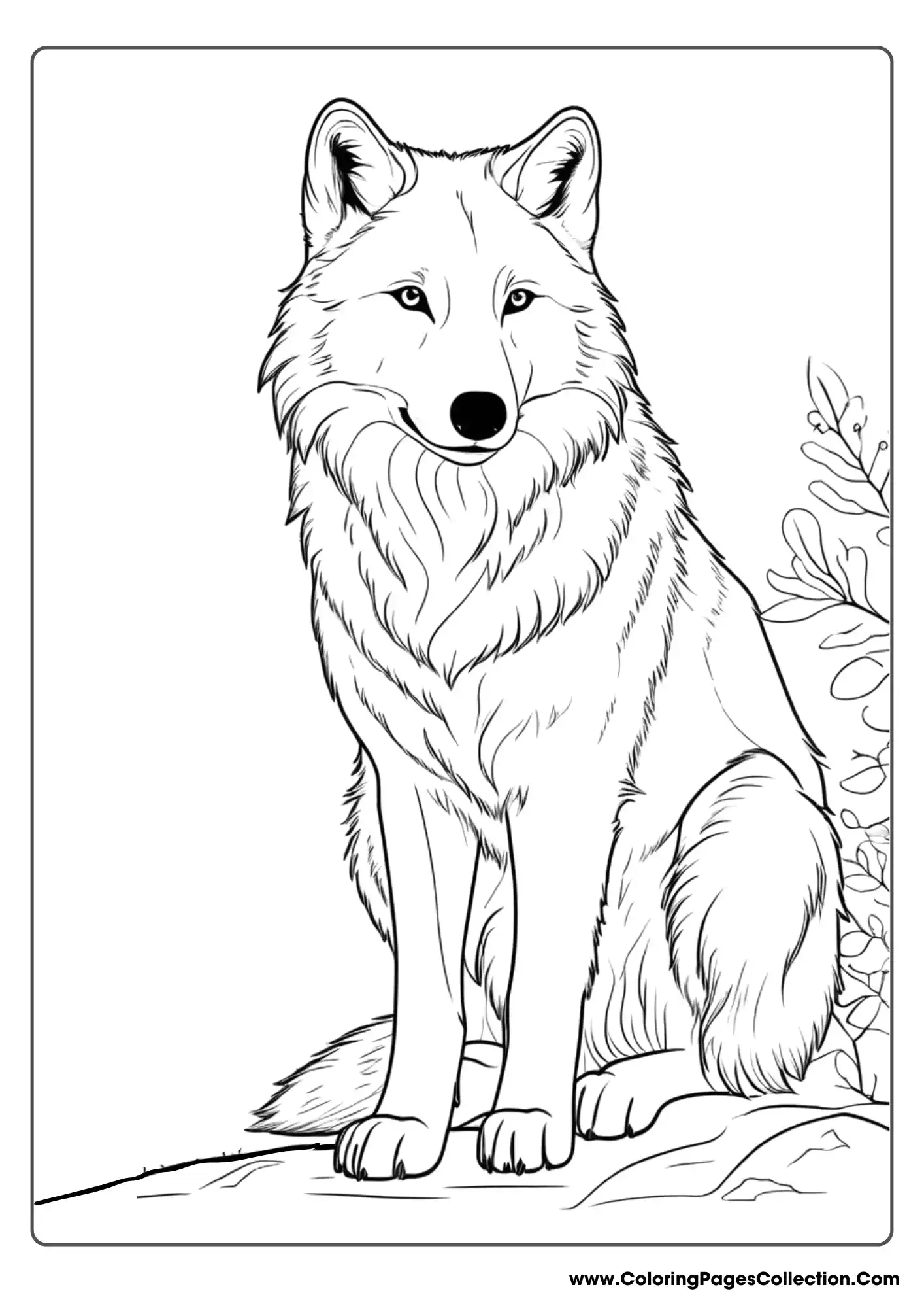 wolf coloring pages, Realistic Wolf