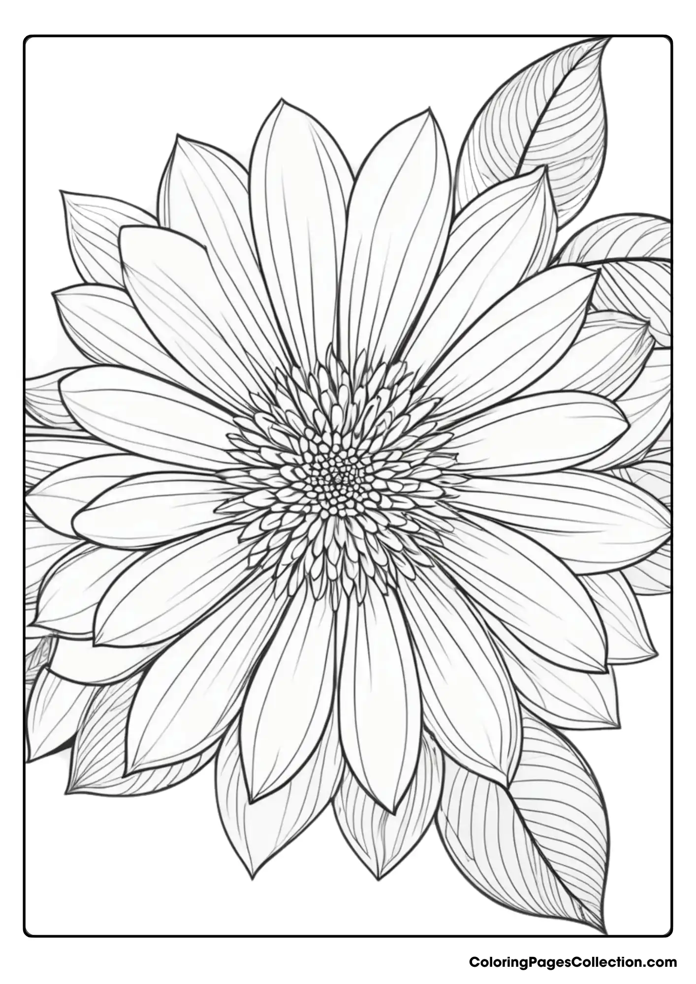 Coloring pages for teens, Realistic Sunflower Coloring Page For Teens