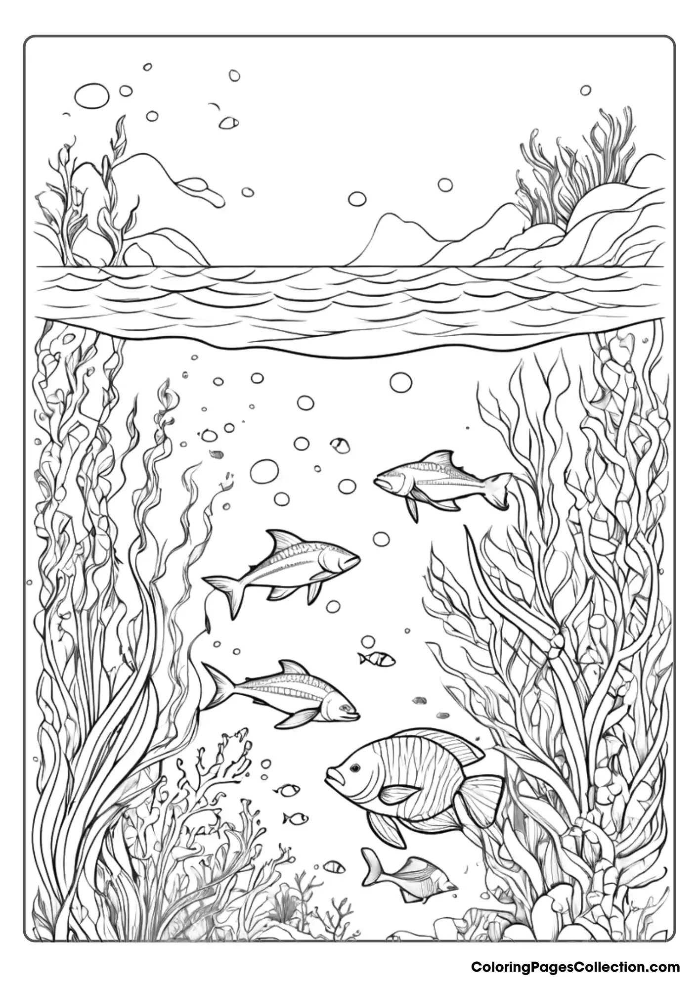 Coloring pages for teens, Underwater Coloring Page