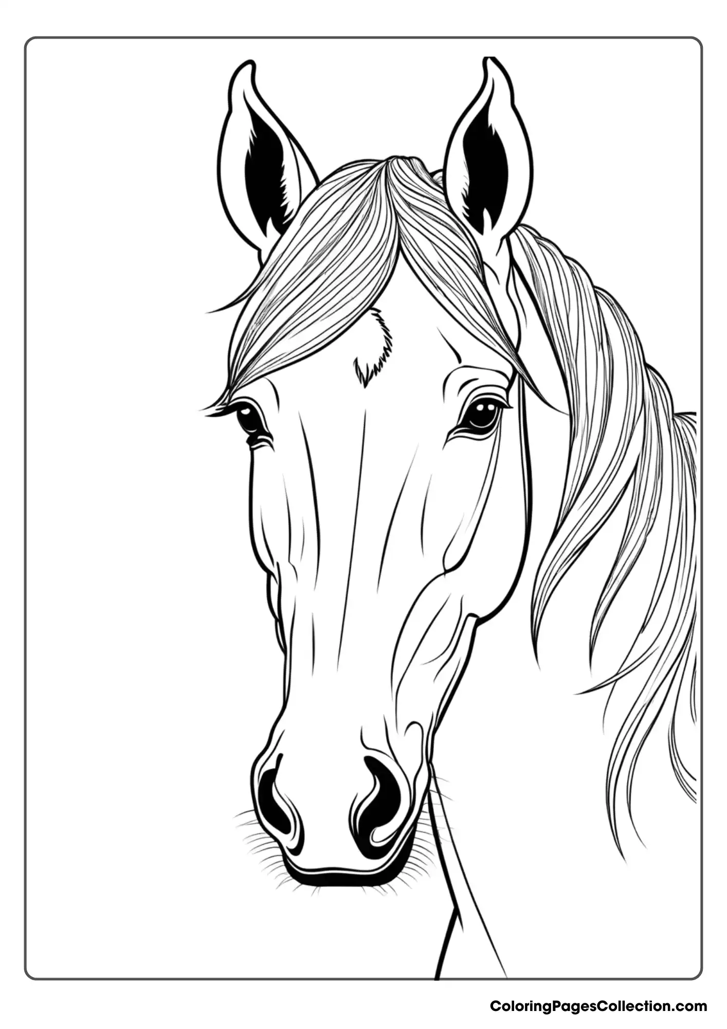 Coloring pages for teens, Beautiful Horse