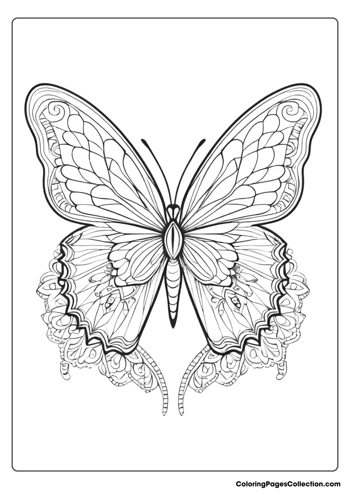 Coloring pages for teens, Detailed Butterfly