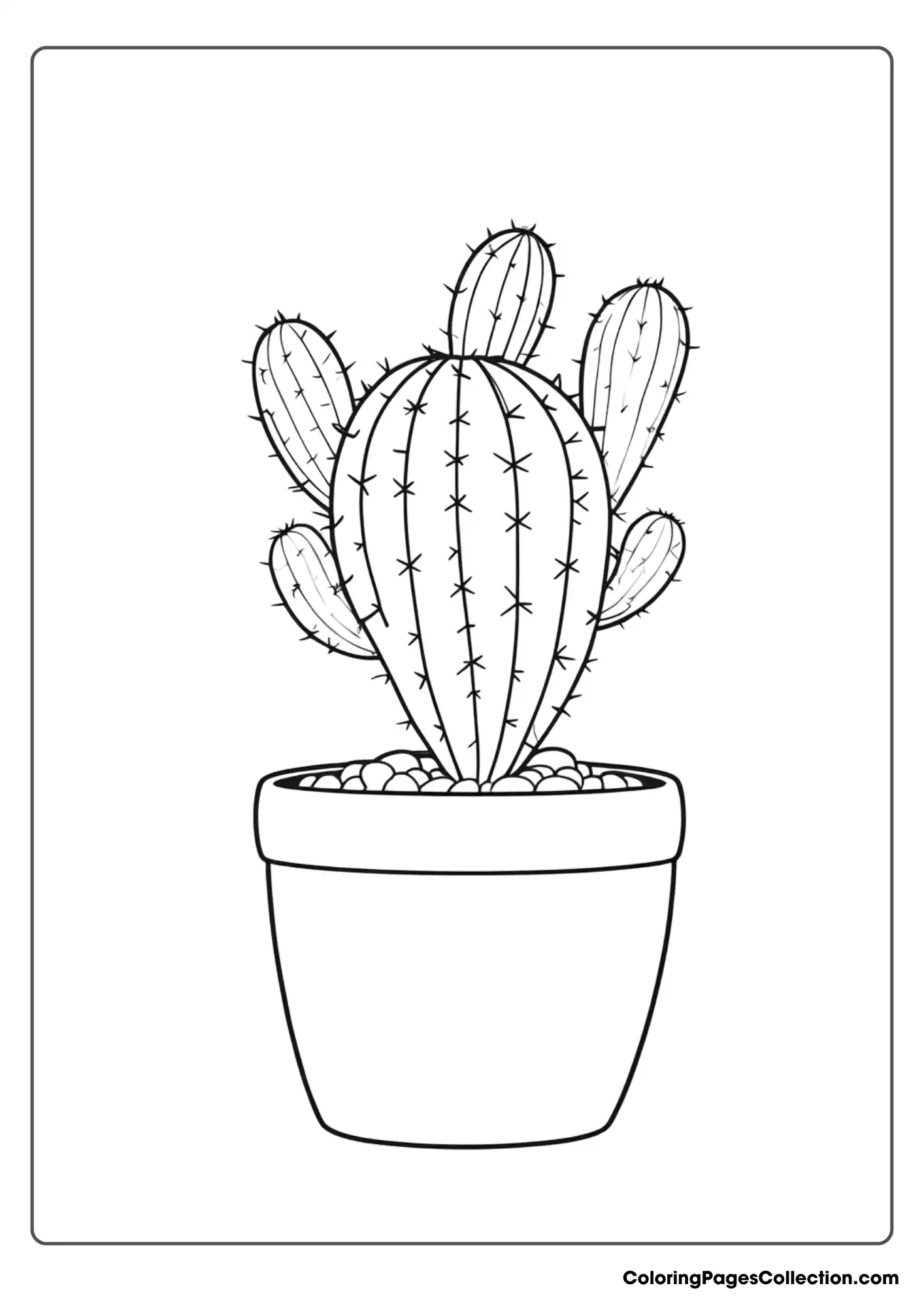 Coloring pages for teens, Cactus 