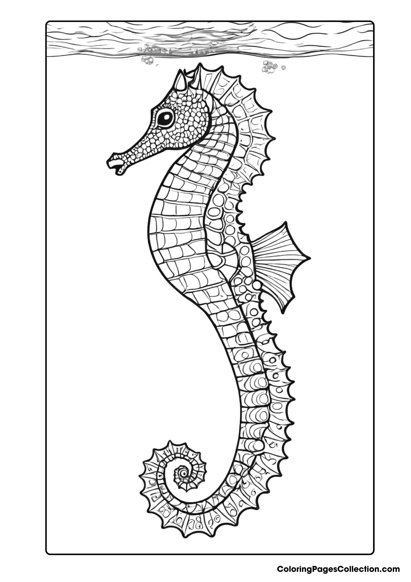 Coloring pages for teens, Seahorse