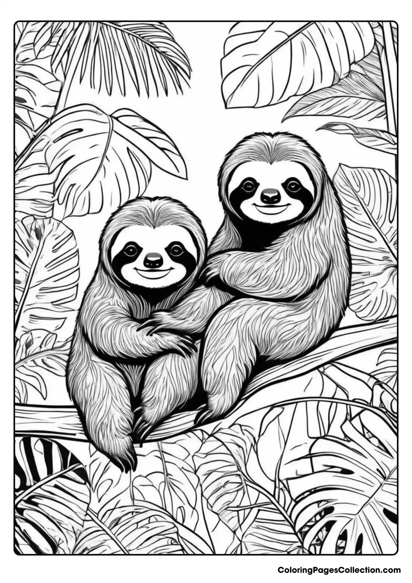 Coloring pages for teens, Cute Koalas 