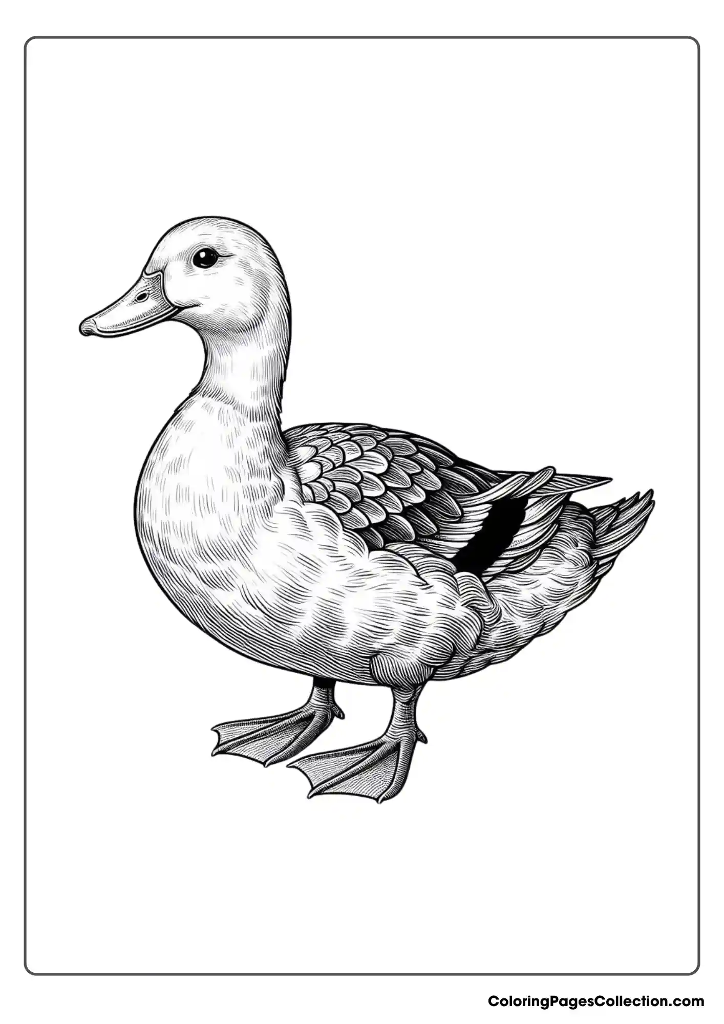 Realistic Duck.