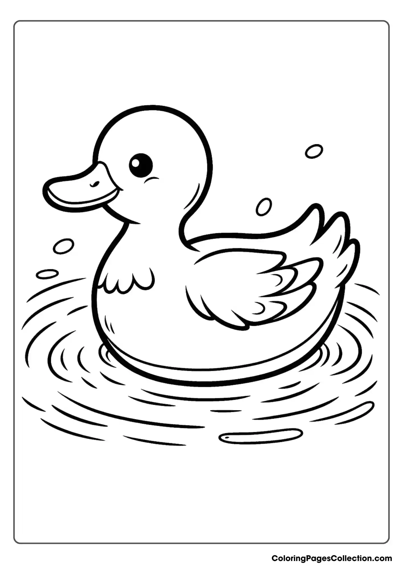 Duck Swimming On A Pond