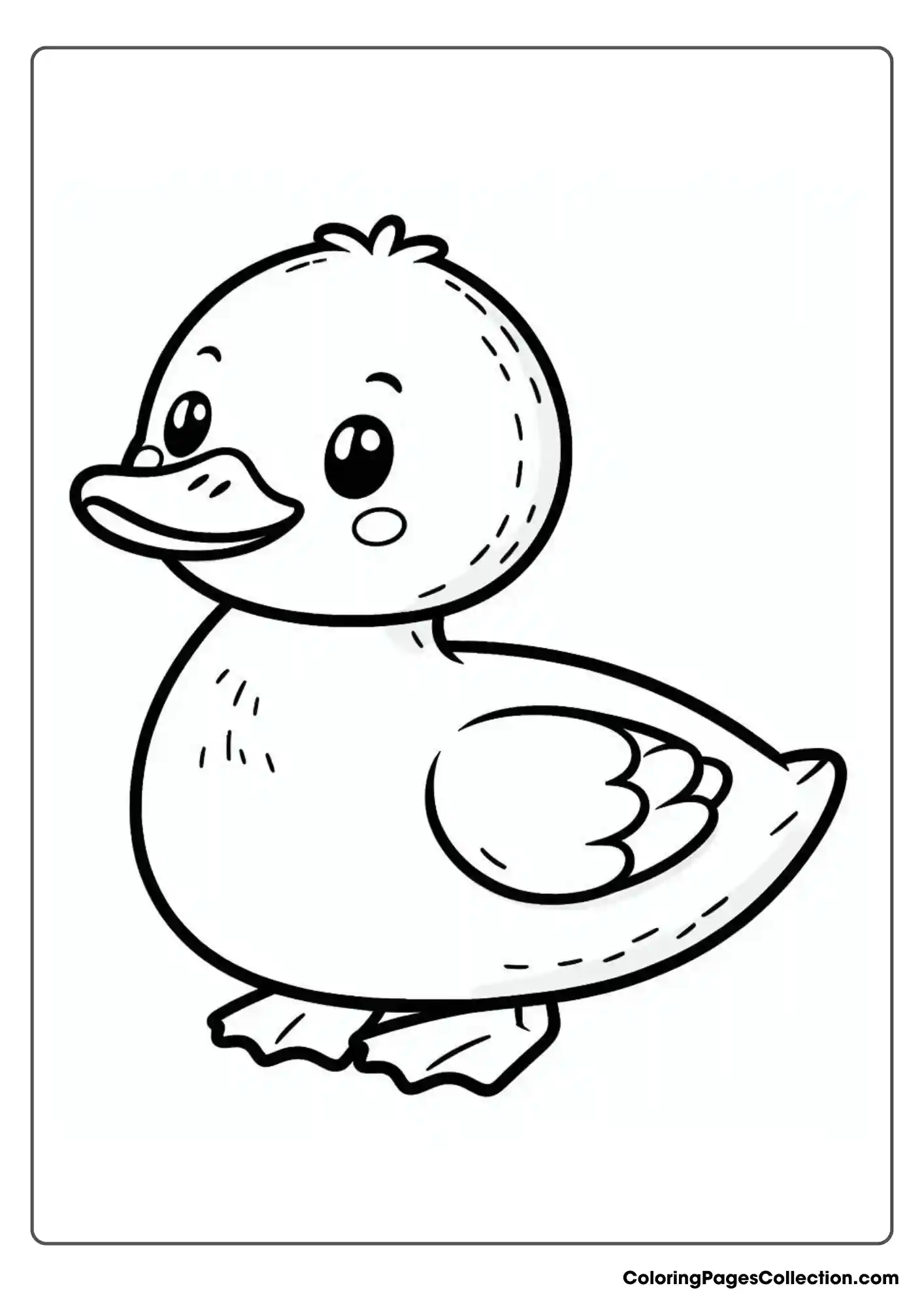 Duck With A Smiling Face