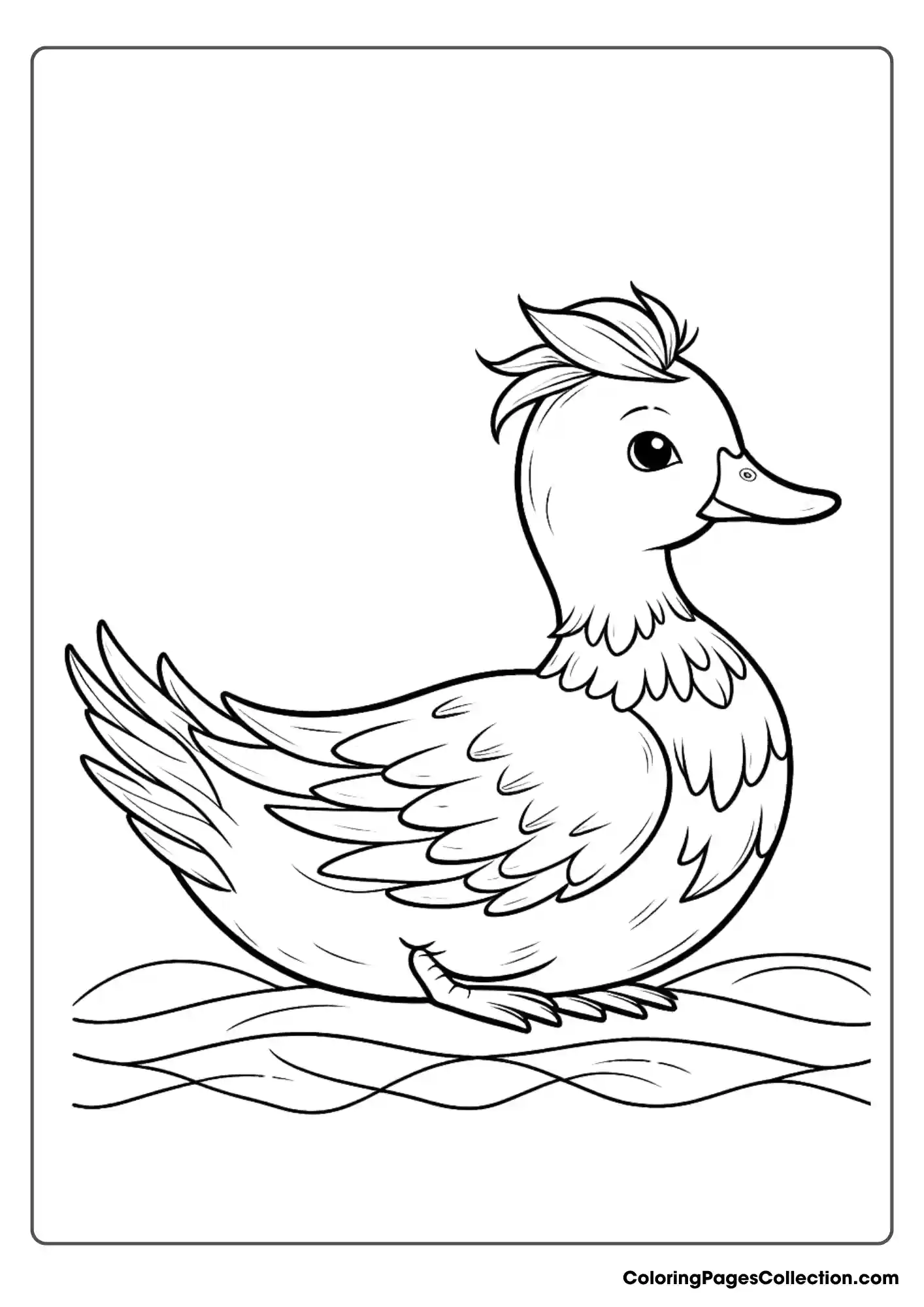 Duck With A Distinct Crest