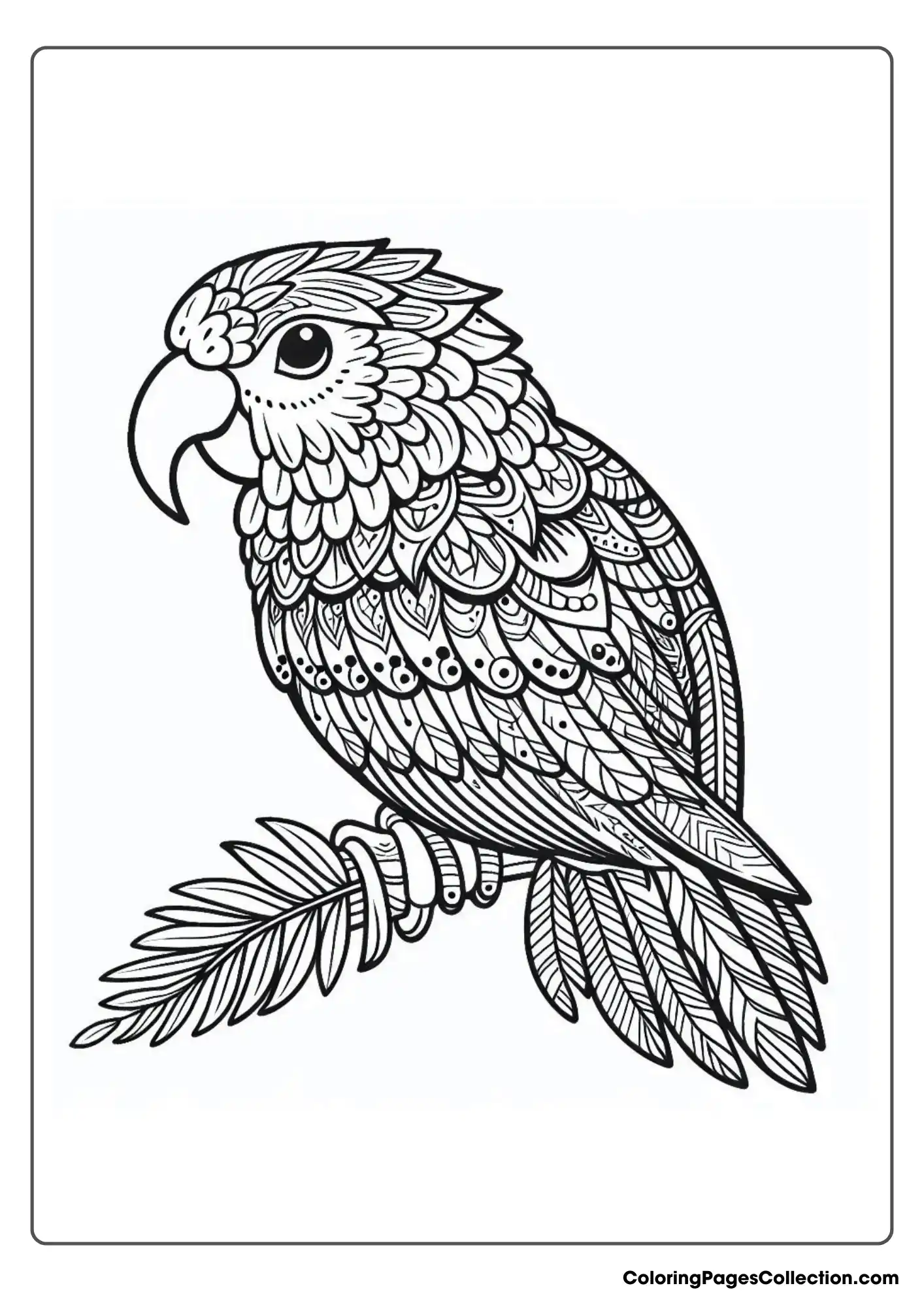 A Parrot With Detailed Feather Patterns