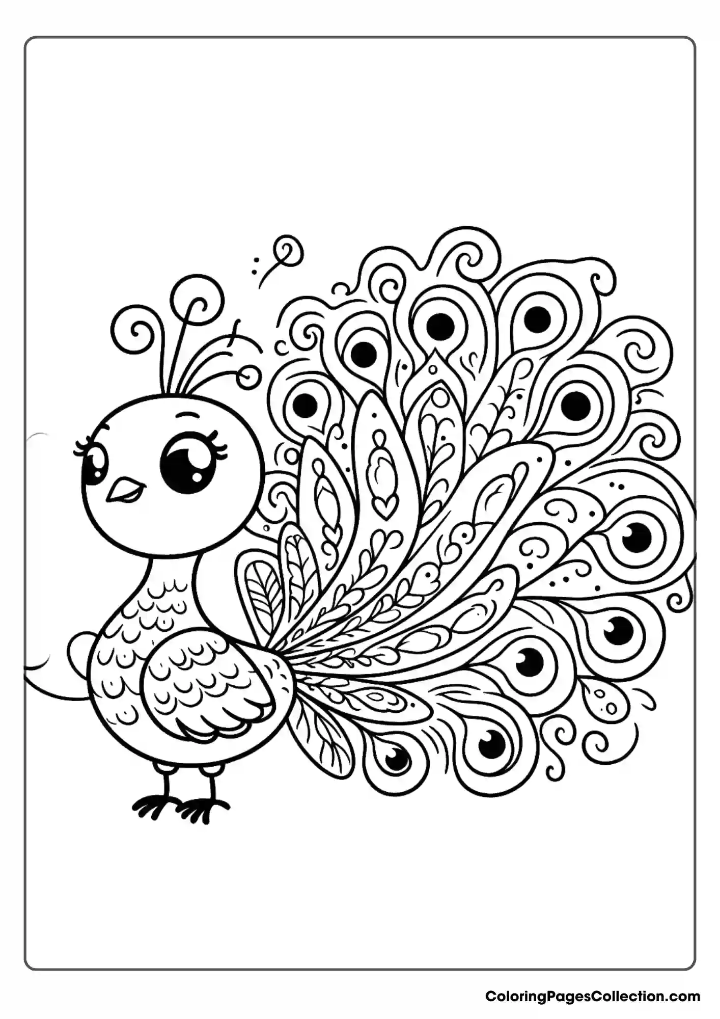 Peacock With Round