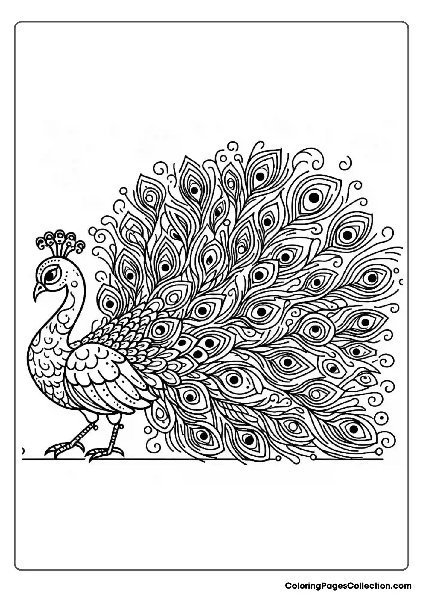 Peacock In Dynamic Pose