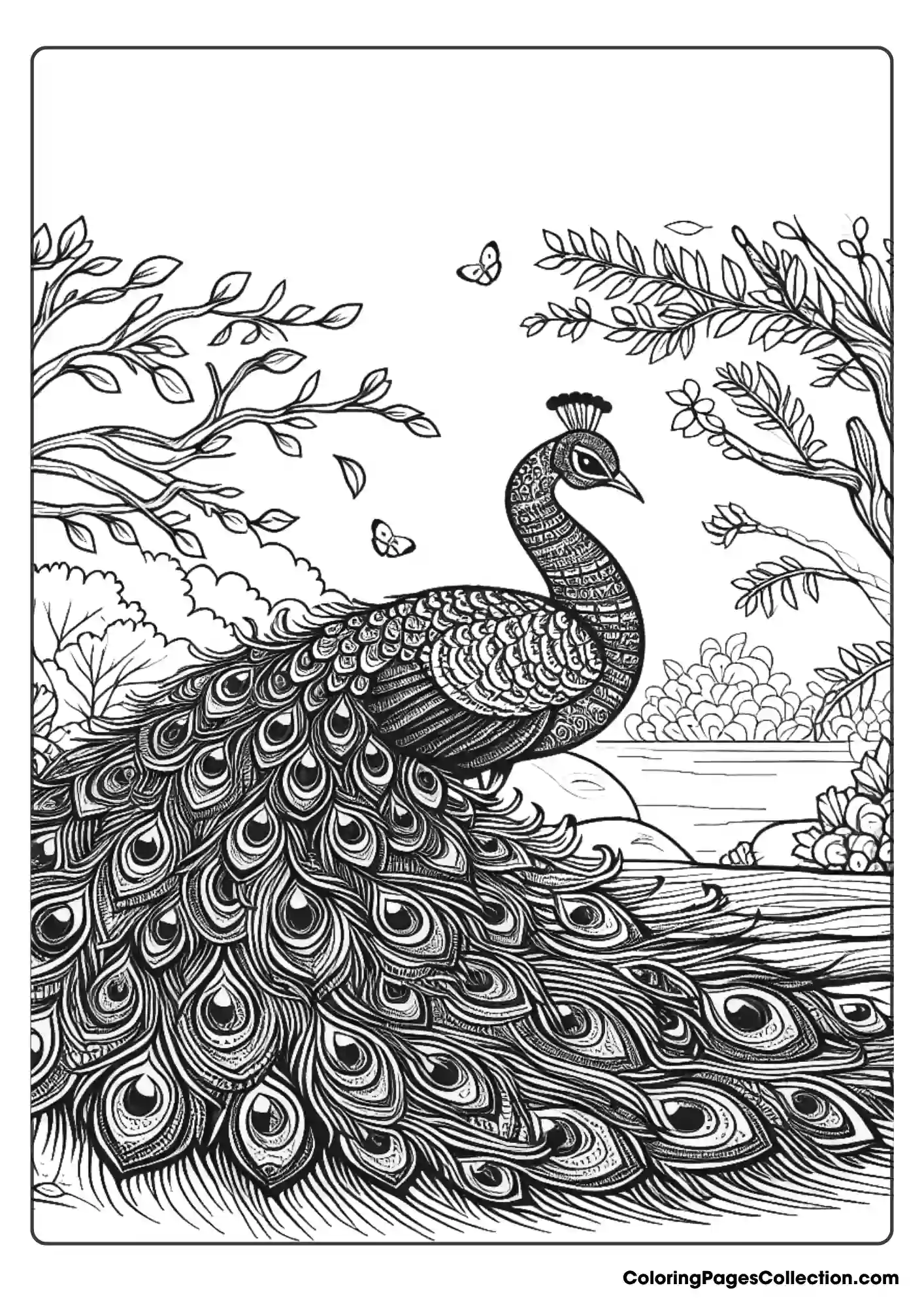 Peacock In Natural Setting