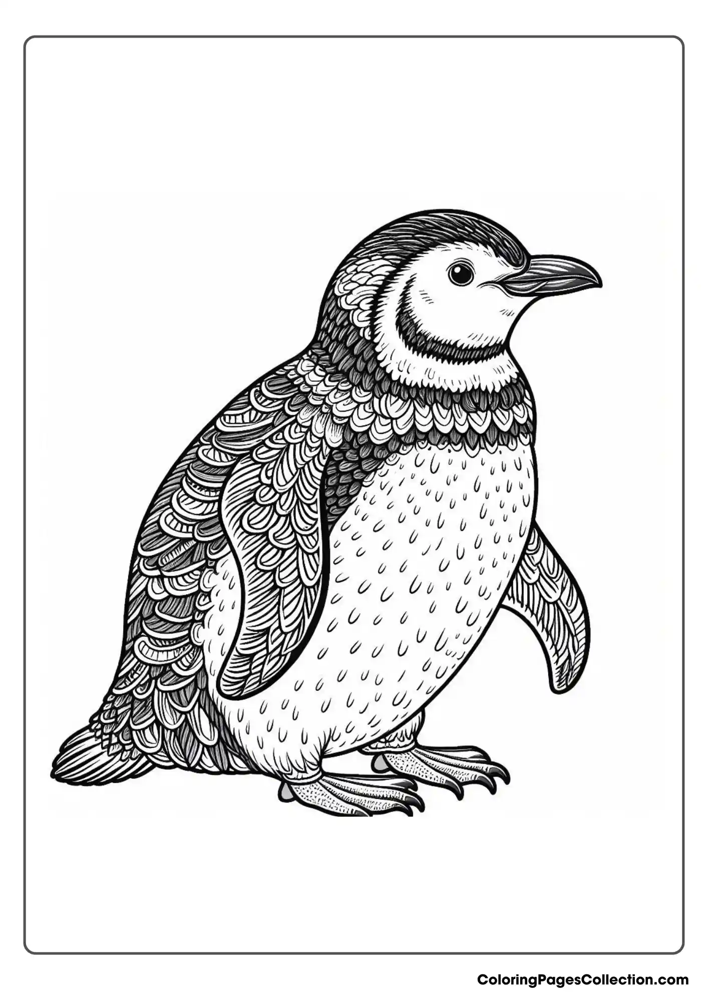 A penguin with detailed feather patterns