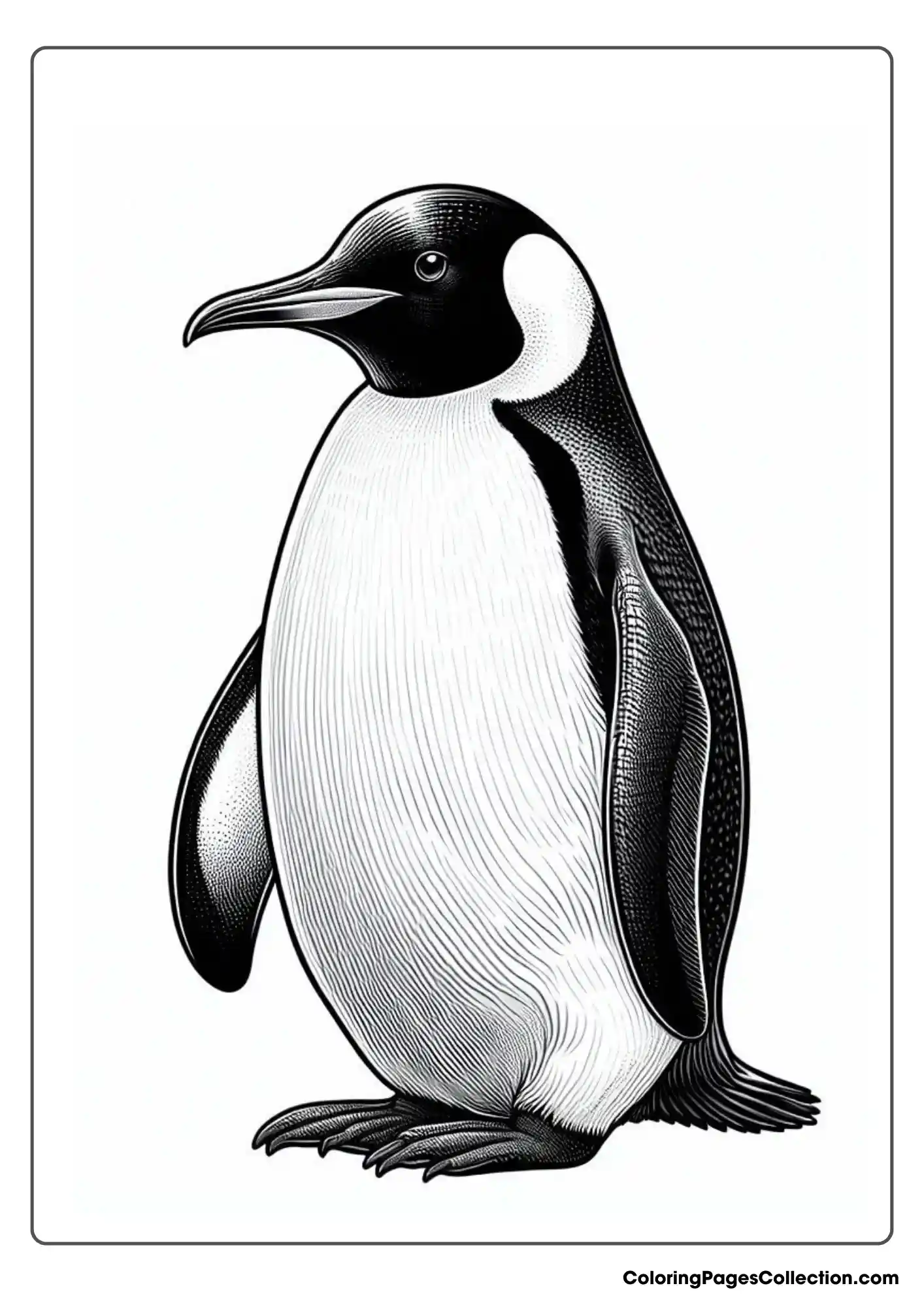 Realistic penguin