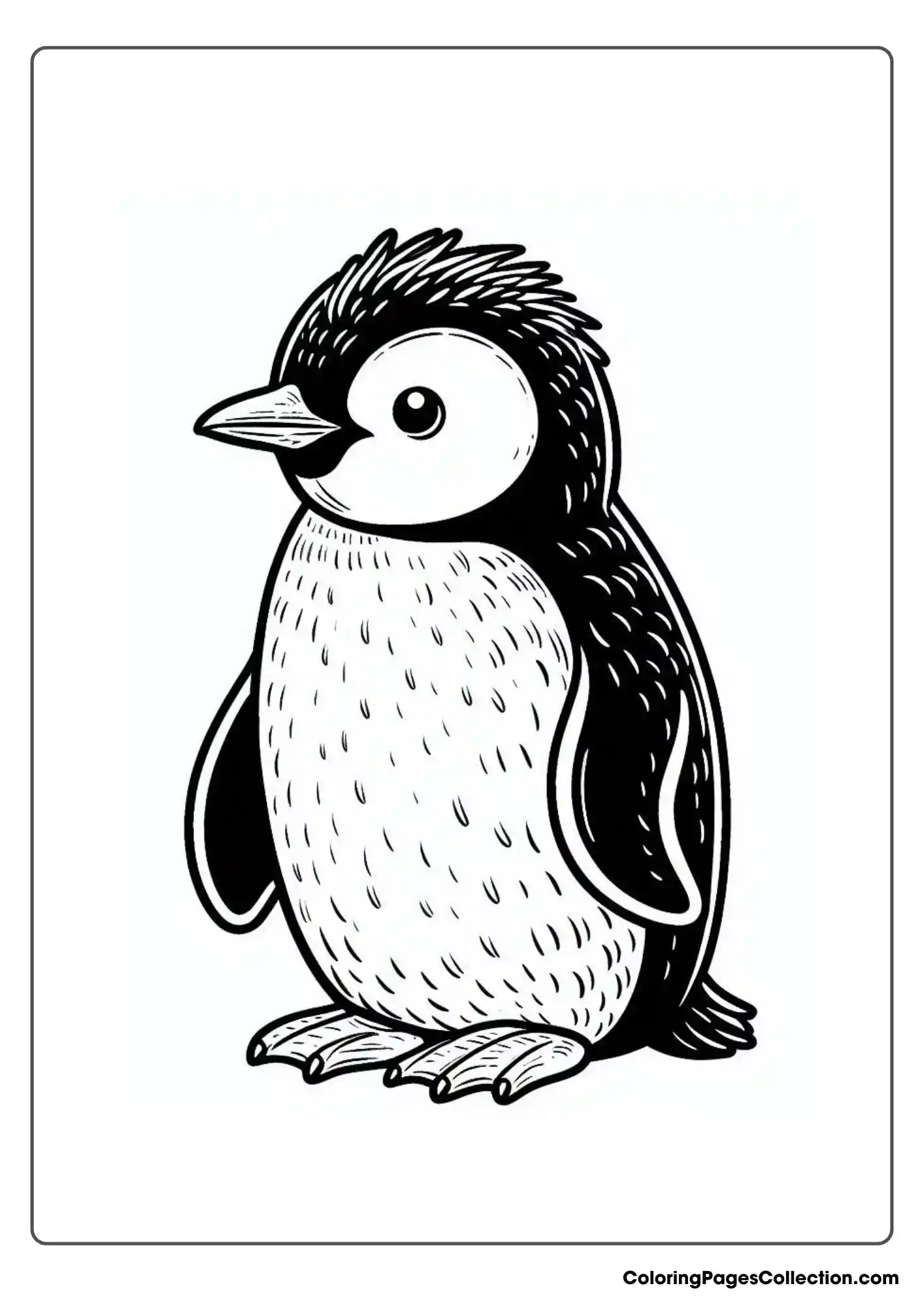 A penguin with a distinct crest