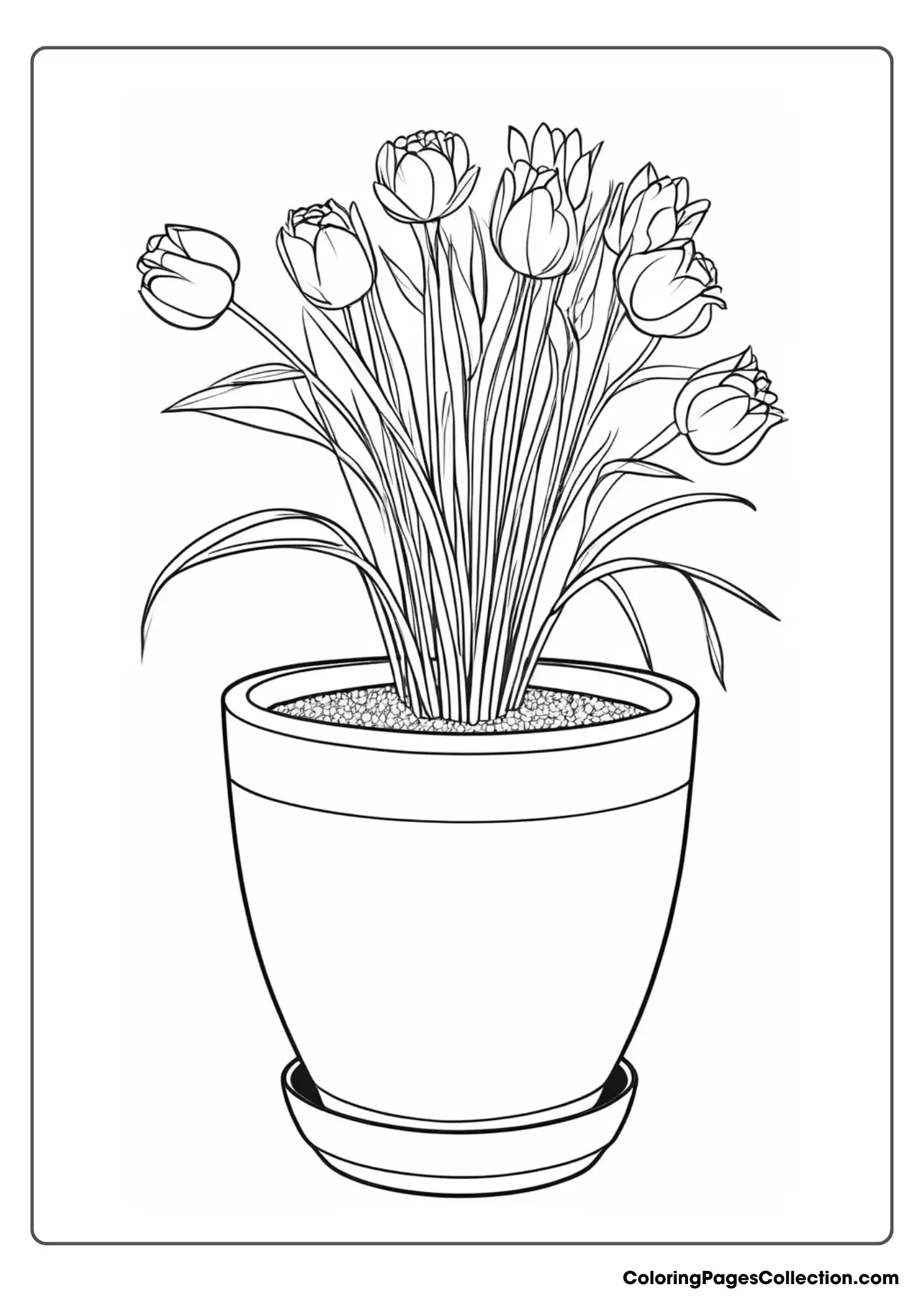 Tulips In A Pot Coloring Page
