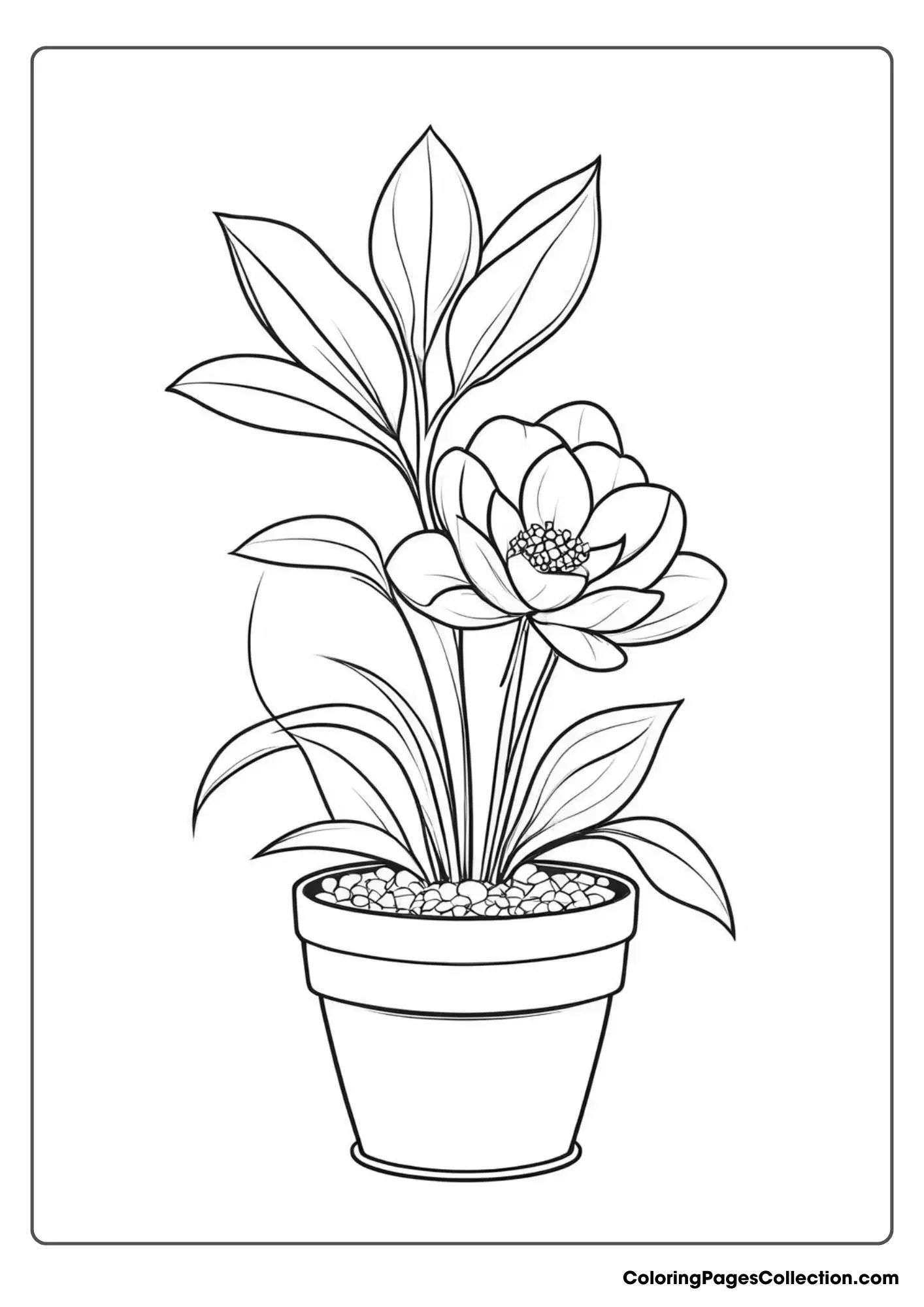 A Plant In A Pot Coloring Page