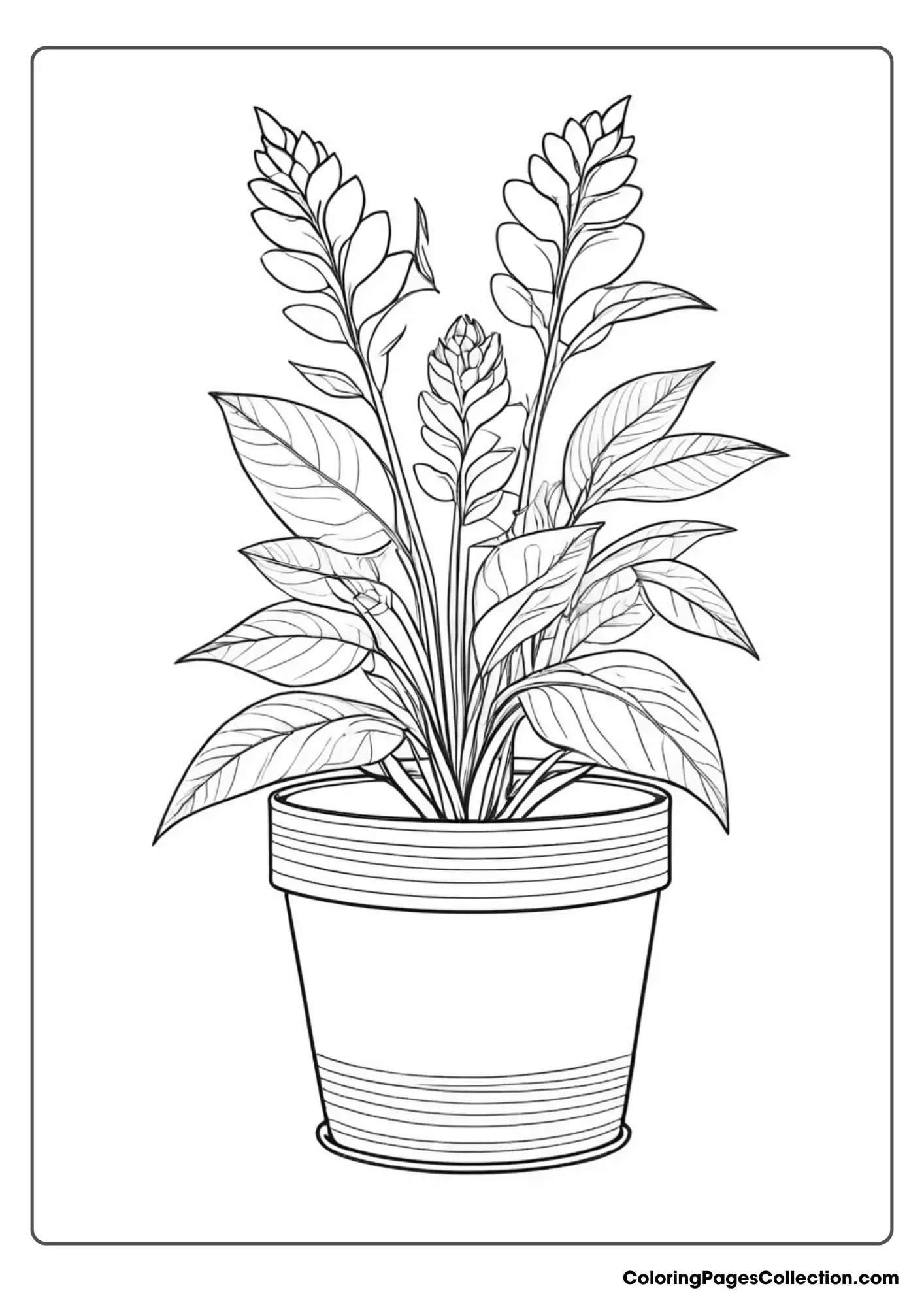 A Drawing Of A Plant In A Pot