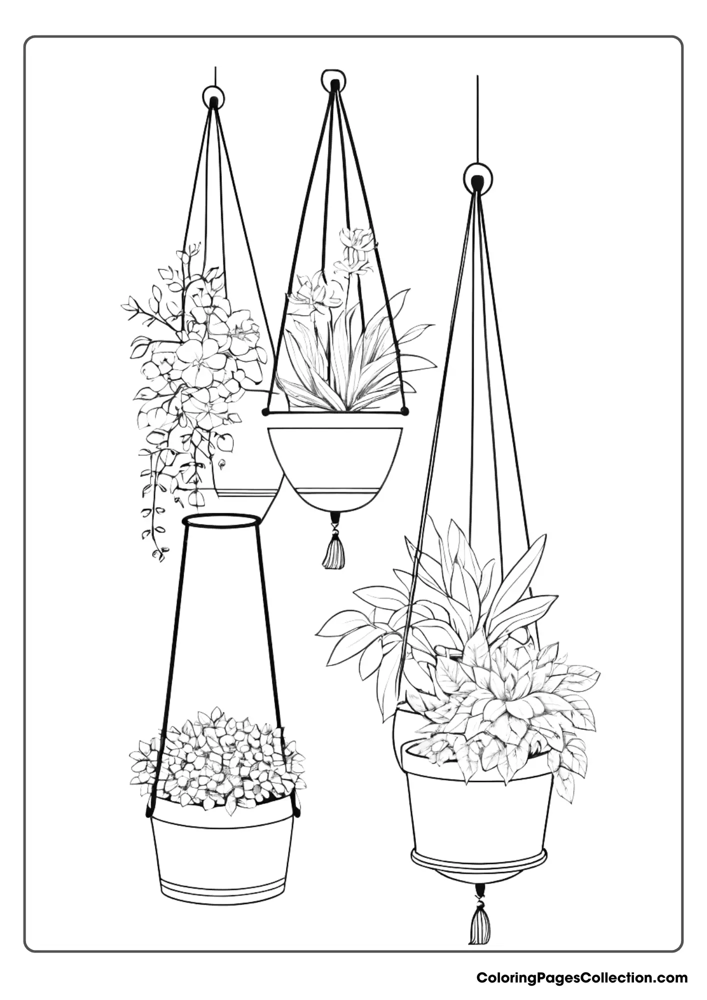 Four Hanging Planters With Plants In Them
