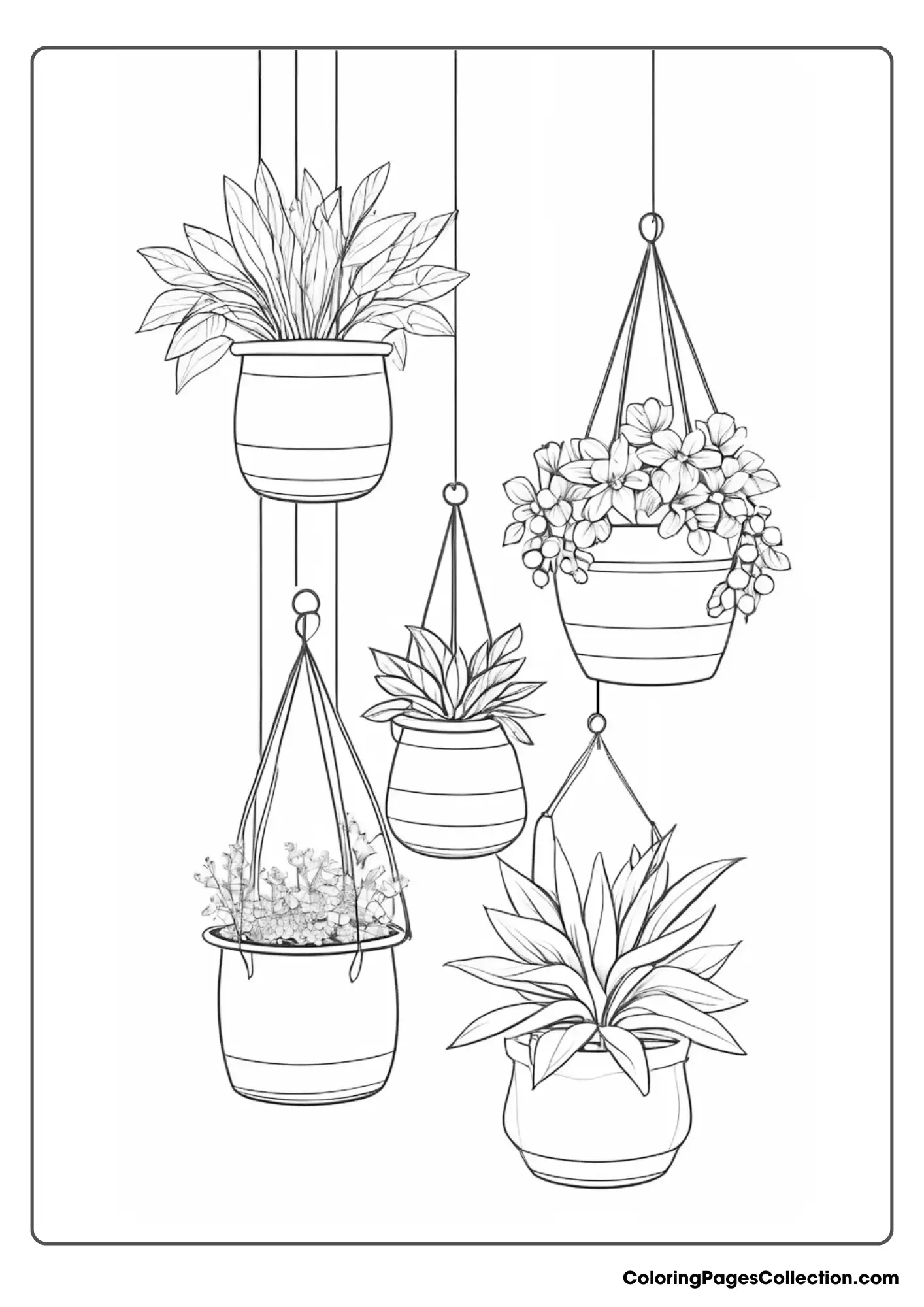 Five Hanging Planters With Plants In Them