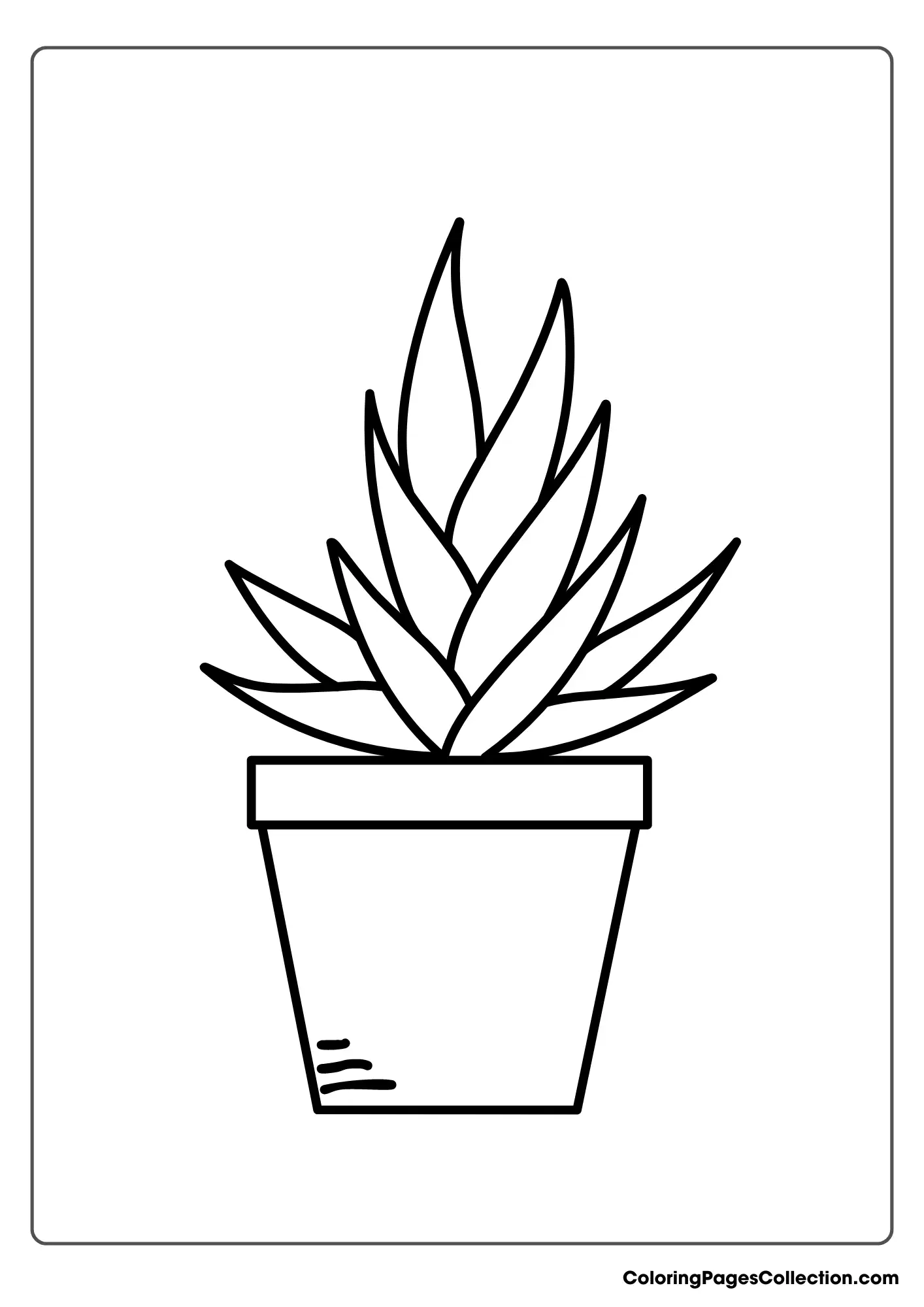 Succulent Plant In A Pot Coloring Page