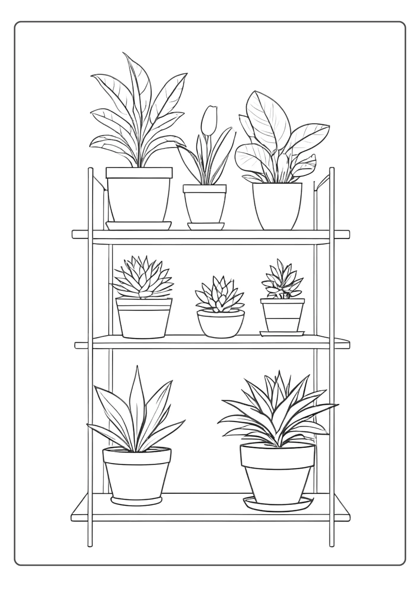 A Coloring Page With Plants On A Shelf