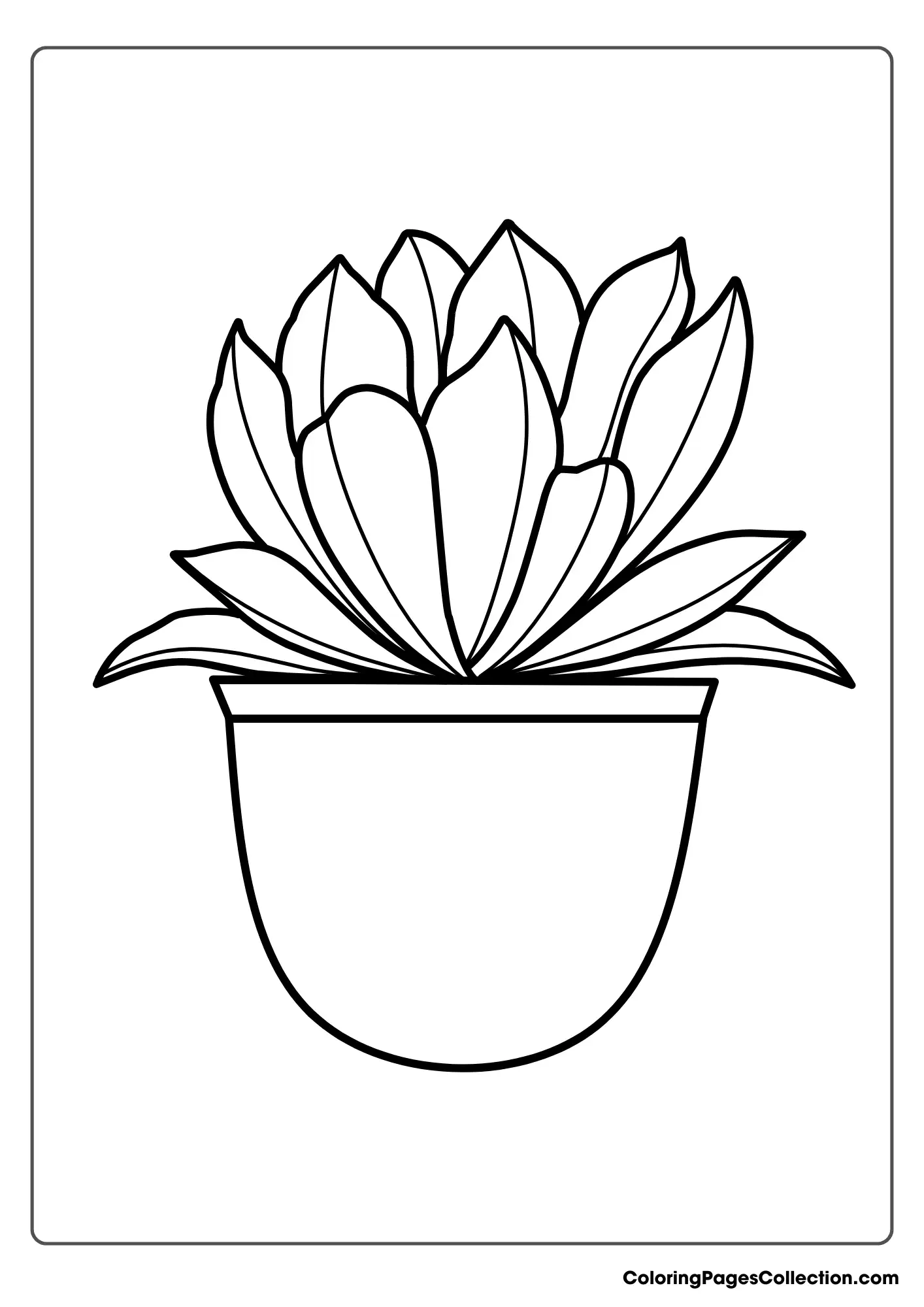 Succulent Plant In A Pot Coloring Page